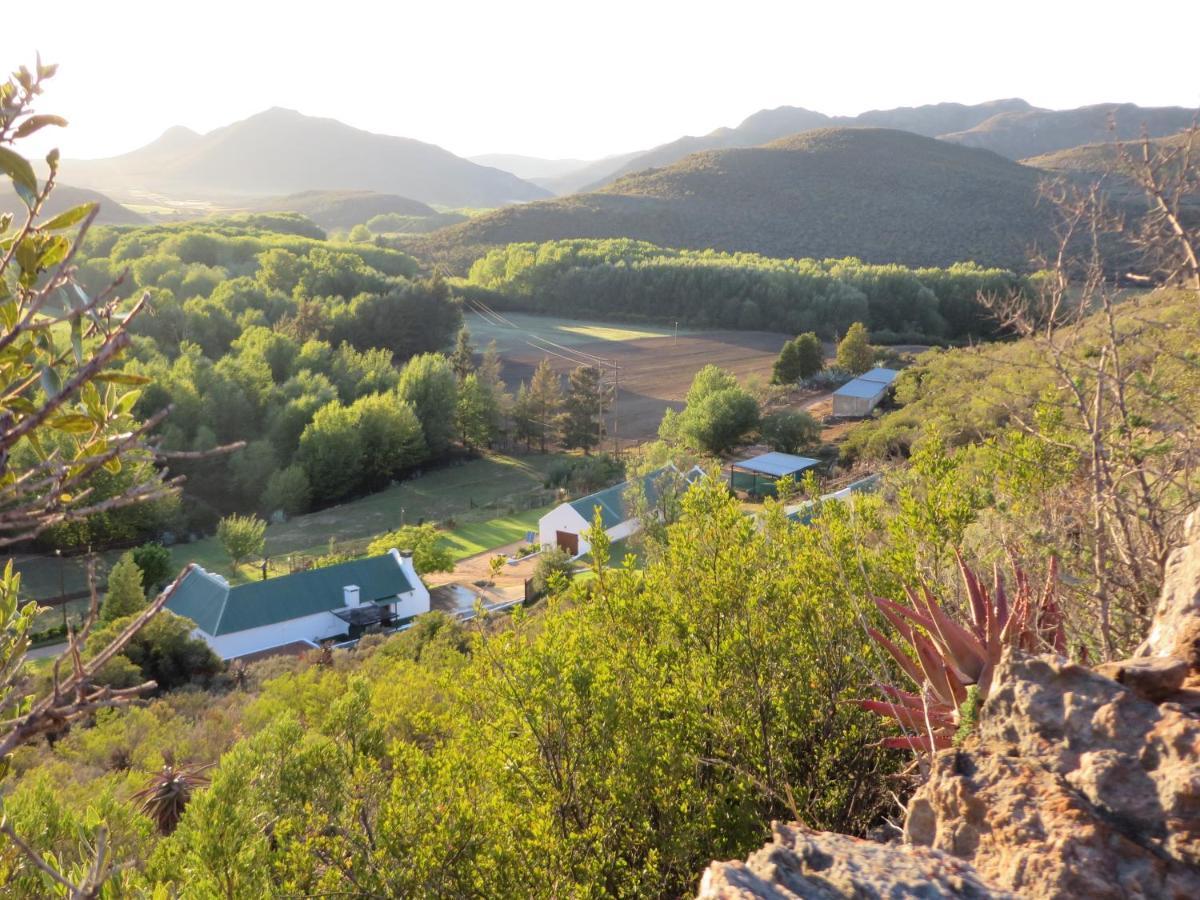 Bo Kouga Mountain Retreat Hotel Ongelegen Exterior foto